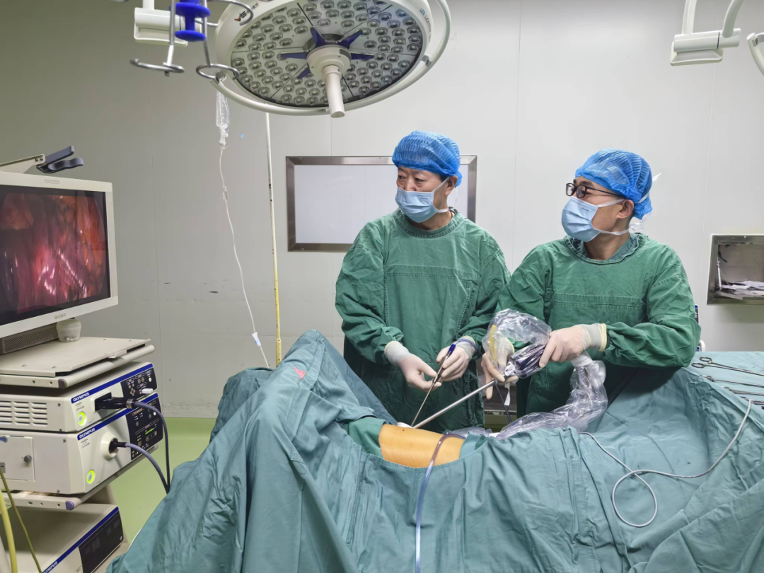 1770969336874.png 1770969336874.png