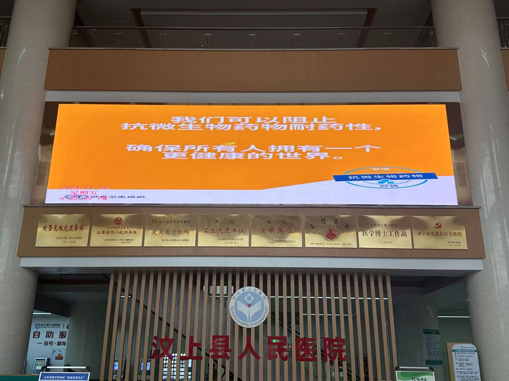 1732497491415.jpg